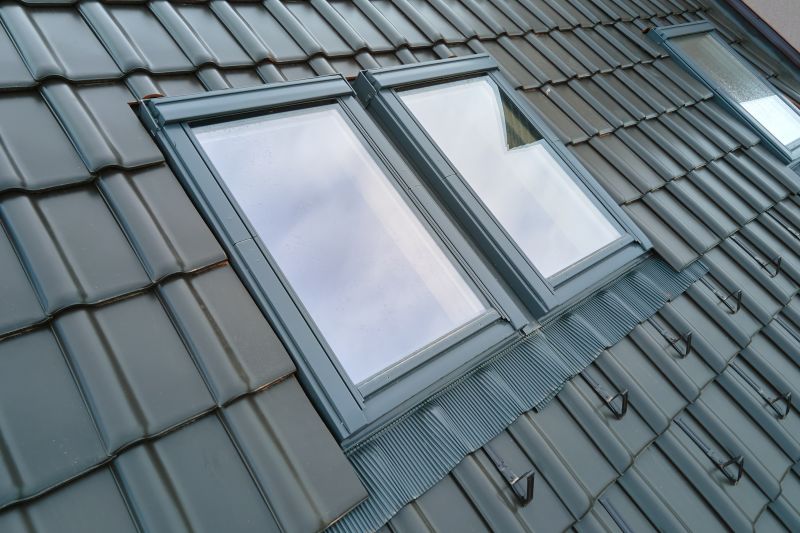 Roofing and Skylight Companies